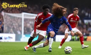 cucurella forest h 68f1091413ed5